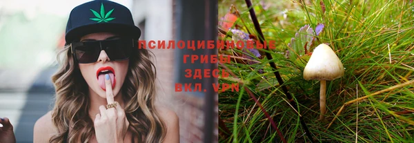 ешки Армянск